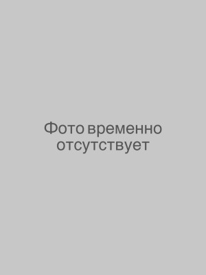 Чумерин Денис Сергеевич.